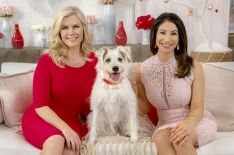 Hallmark Channel Previews 'Countdown to Valentine's Day' & 'Adoption Ever After'