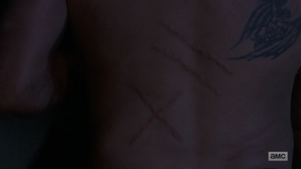 What Do Michonne & Daryl's Scars Mean on 'The Walking Dead'? 7 Theories