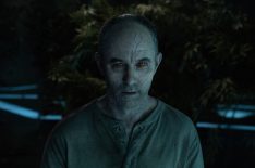 Why Fox's 'The Passage' Is the Vampire Show We Need Right Now