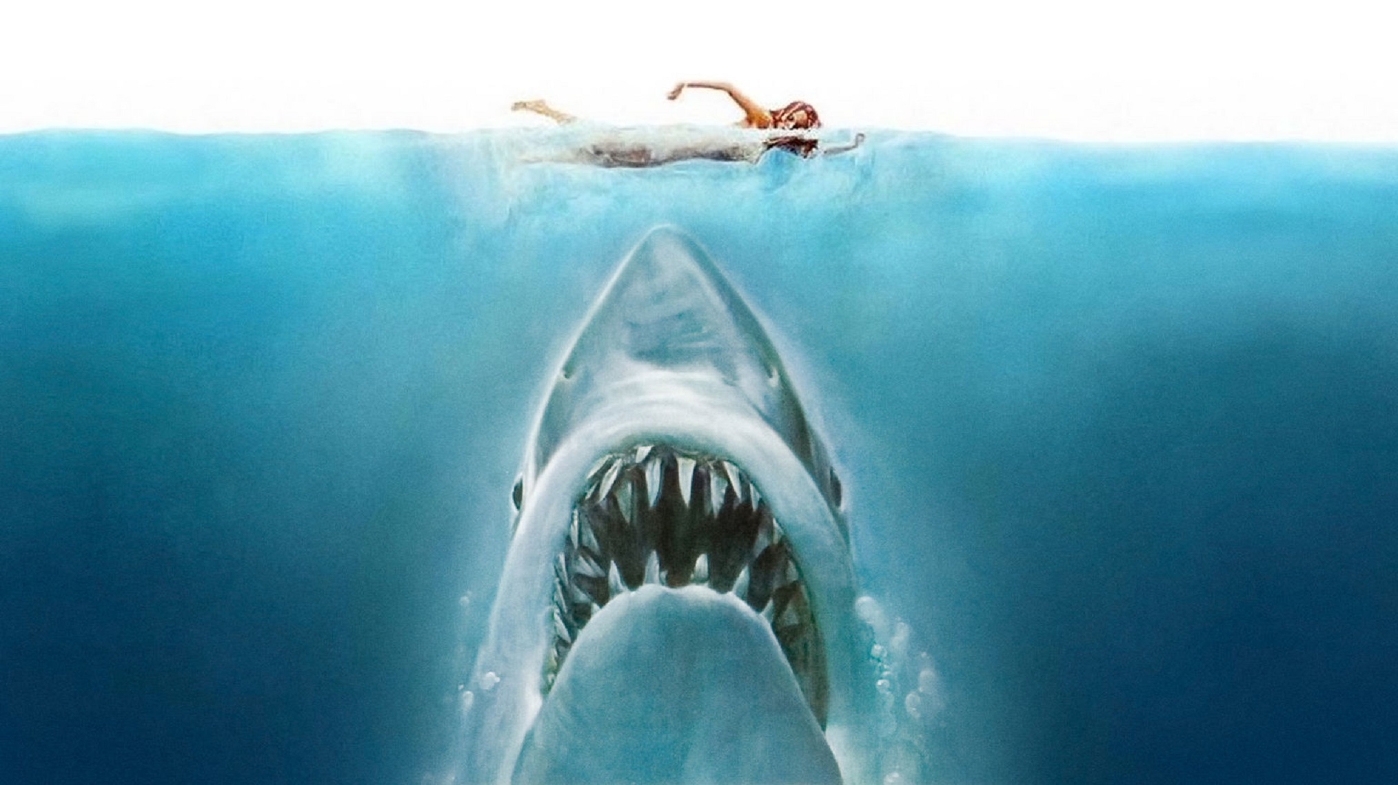 Never let you go tiburones. Нетфликс монстр океана.
