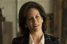 Annabeth Gish as Diane Gould in Halt and Catch Fire