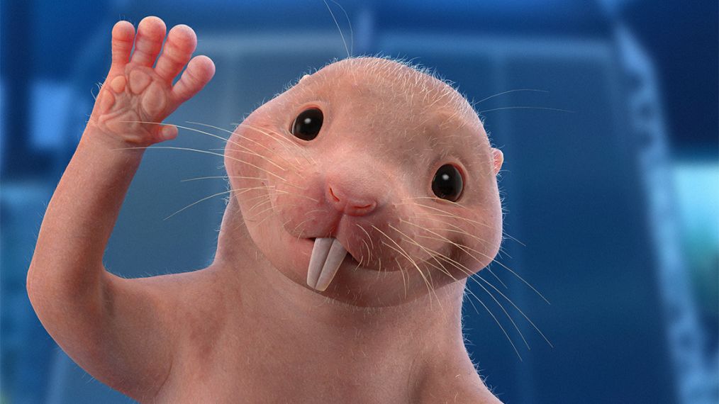 Kim possible rufus xaseral