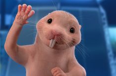 Disney's 'Kim Possible' Movie: Get to Know Rufus, the Naked Mole Rat (PHOTO)