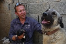 'Battle Dogs' Star Pen Farthing Talks Rescuing Animals in War-Torn Afghanistan