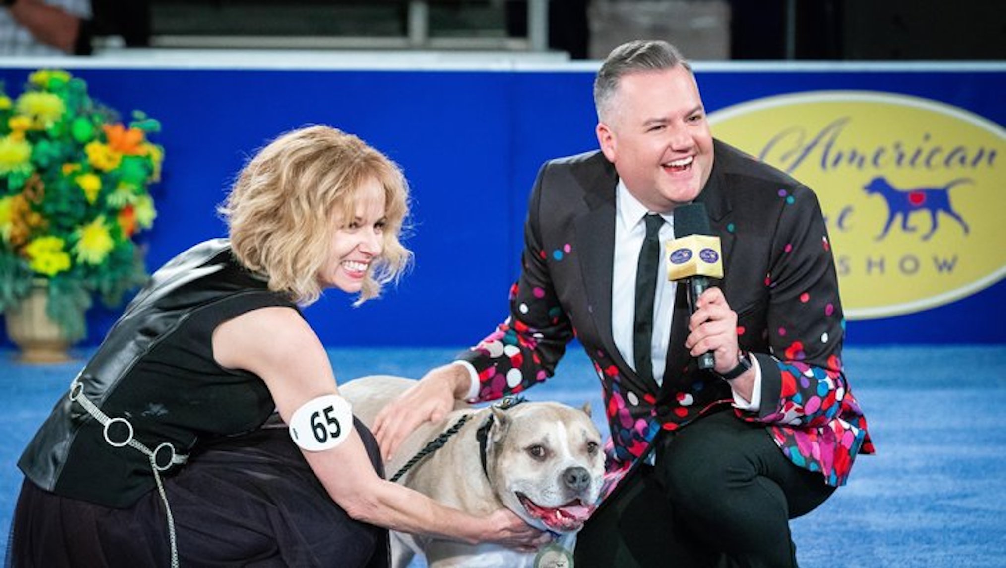 hallmark adopt a pet