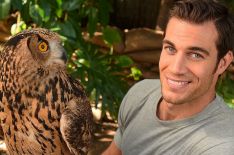 'Evan Goes Wild': Dr. Evan Antin Chases Wildlife to Wild Places in Animal Planet Series