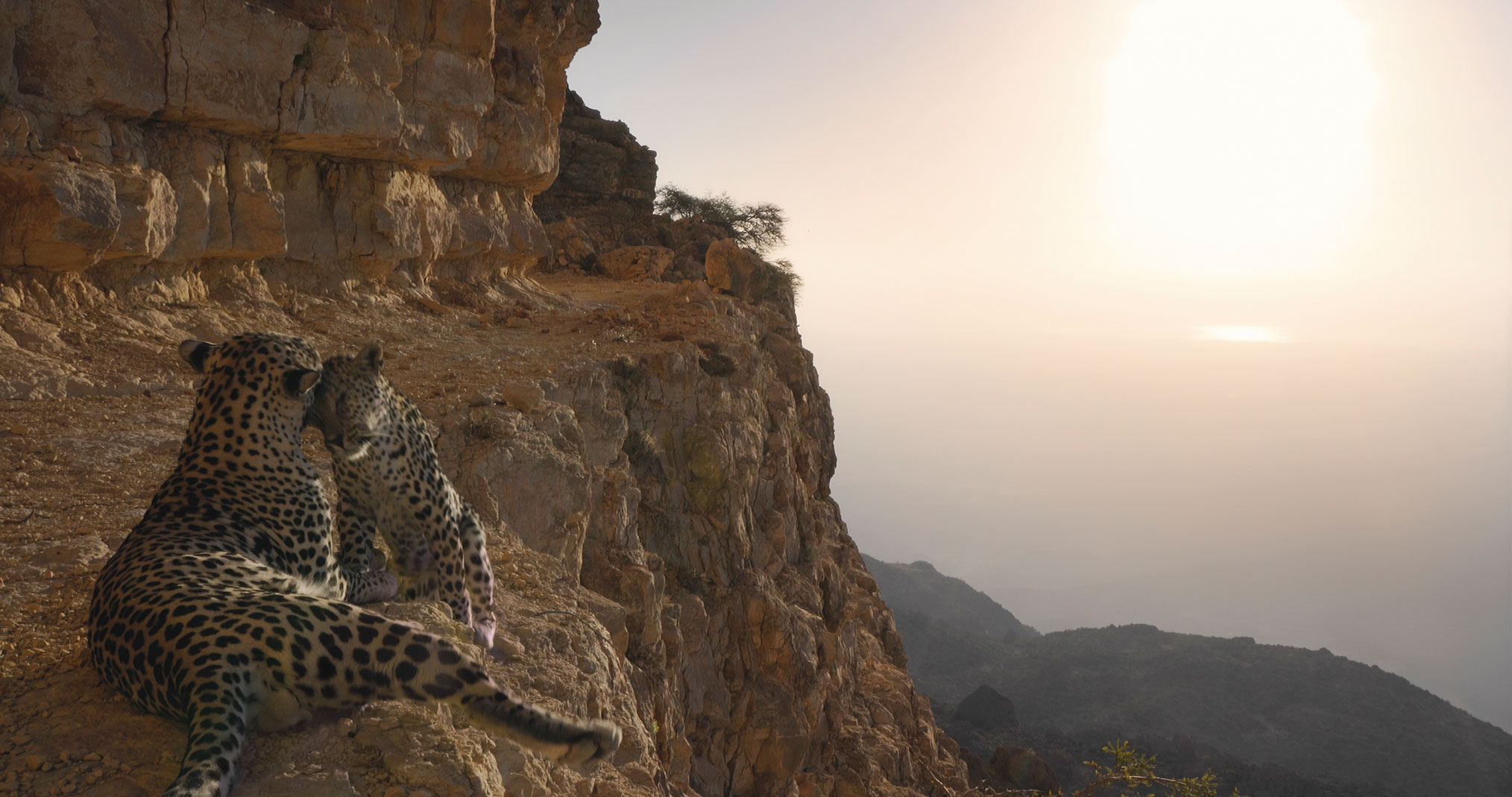 5 Ways Netflix's 'Our Planet' Makes You See the World in a Whole New Light 5 Ways Netflix's 'Our Planet' Makes You See the World in a Whole New Light