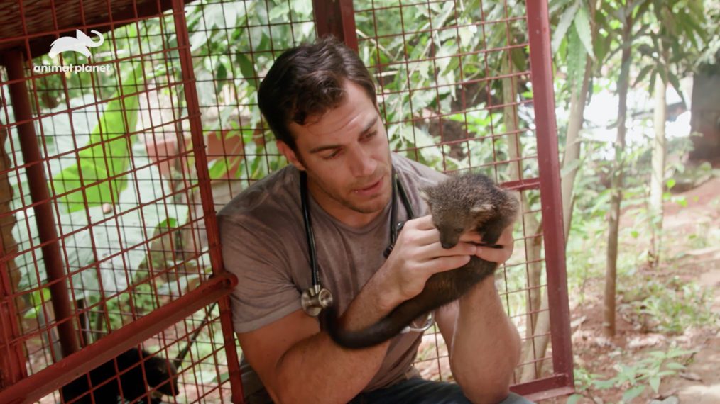 Evan Antin Channels His Inner Dr. Doolittle in 'Evan Goes Wild' Sneak Peek ( VIDEO) Evan Antin Channels His Inner Dr. Doolittle in 'Evan Goes Wild' Sneak Peek ( VIDEO)