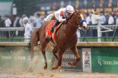 145th Kentucky Derby: Find Out Which Horses Are Racing & More