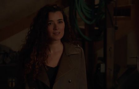 NCIS Ziva return Qs