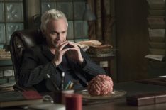 David Anders Says 'iZombie's Blaine Is the 'Most Successful He's Ever Been' in Season 5