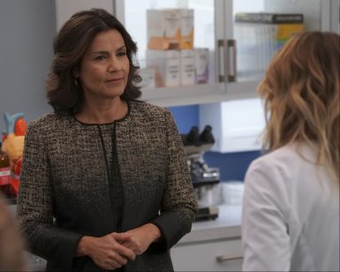 'Grey's Anatomy' Cut Meredith's Season 14 Love Interest After a Leak