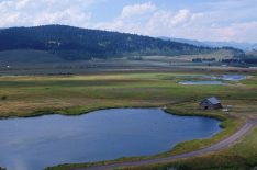 'Yellowstone Live': A 4-Night Live Event on National Geographic & Nat Geo WILD
