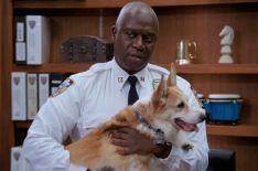 'Brooklyn Nine-Nine's Stewart the Corgi Dies — Our 3 Favorite Holt-Cheddar Moments