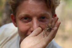 McKinley River Northern Territory, Australia - Jack Randall examines a Huntsman spider before releasing it back into the wild on Out There With Jack Randall