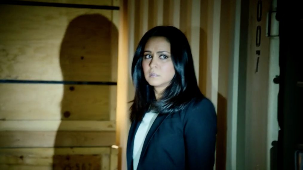 NCISLA Parminder Nagra