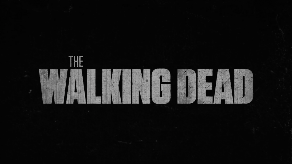 18 Things You Might've Missed in 'The Walking Dead' Season 10 Trailer (PHOTOS)