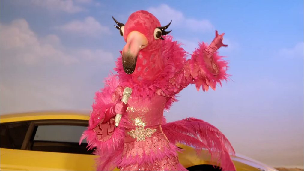 the masked singer season 2 flamingo