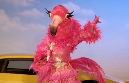 the masked singer season 2 flamingo