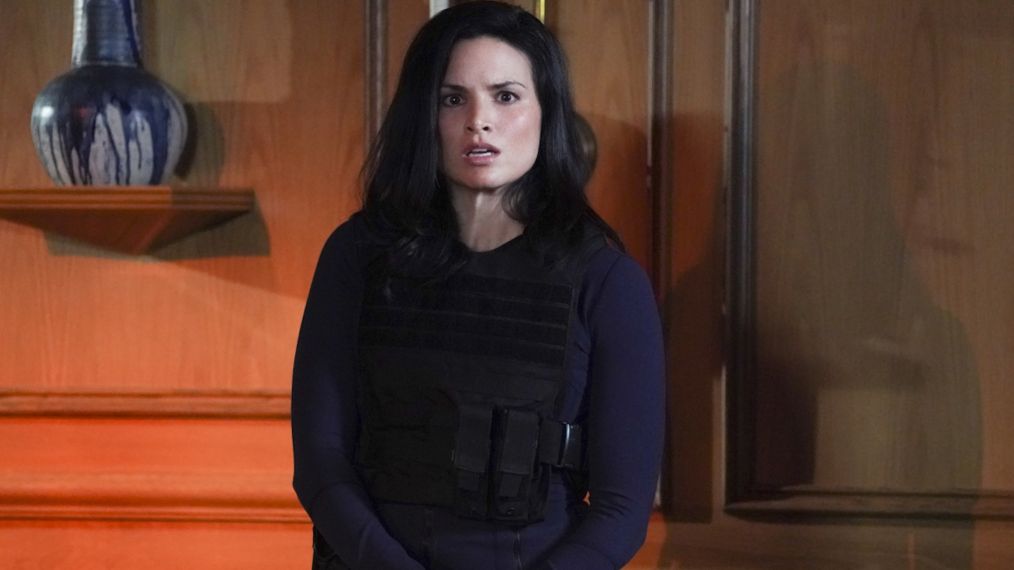 Katrina Law as Quinn Liu in Hawaii Five-0