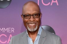 James Pickens Jr. attends ABC's TCA Summer Press Tour Carpet Event