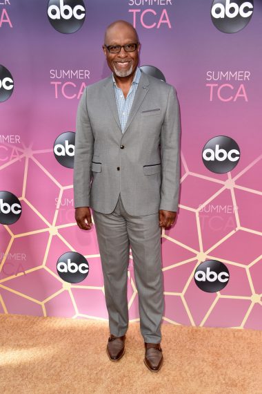 James Pickens Jr. attends ABC's TCA Summer Press Tour Carpet Event