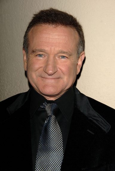 10th Annual Hollywood Awards - Robin Williams