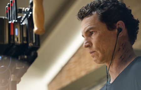 Animal Kingdom - Shawn Hatosy