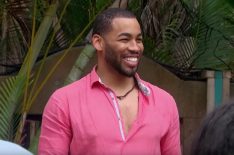 Could Mike Johnson Still Be 'Bachelor' After 'Bachelor in Paradise'?