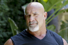 Bill Goldberg as DOJ Agent Lance Hamilton on NSCI