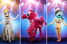 Who's the Winner of 'The Masked Singer' Season 2? See All of the Contestants Unmasked