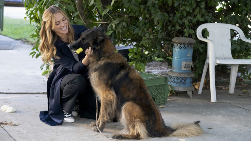 NCIS - Institutionalized - Emily Wickersham as NCIS Special Agent Ellie Bishop with a cute dog