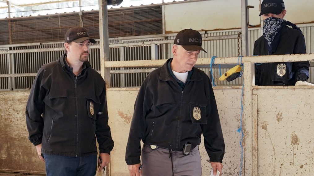 Sean Murray as NCIS Special Agent Timothy McGee, Mark Harmon as NCIS Special Agent Leroy Jethro Gibbs, Emily Wickersham as NCIS Special Agent Eleanor 