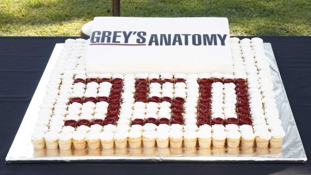 GREY'S ANATOMY