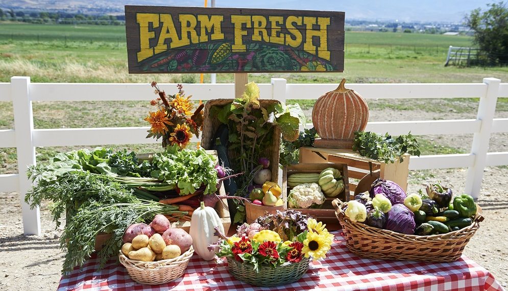 Love, Fall and Order Final Image Assets