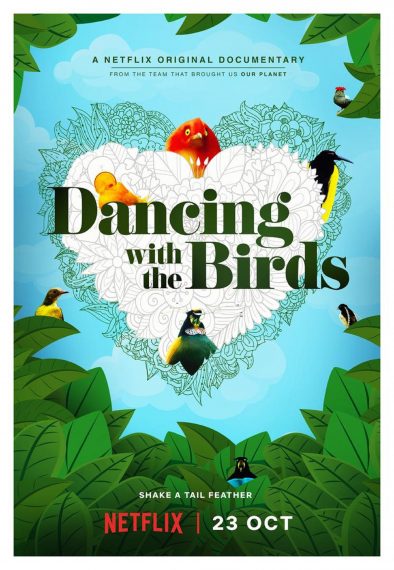 Get a First Look at Netflix's 'Dancing with the Birds' Documentary (VIDEO)