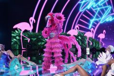 7 Reasons 'The Masked Singer's Flamingo Is Probably This Former Disney Star
