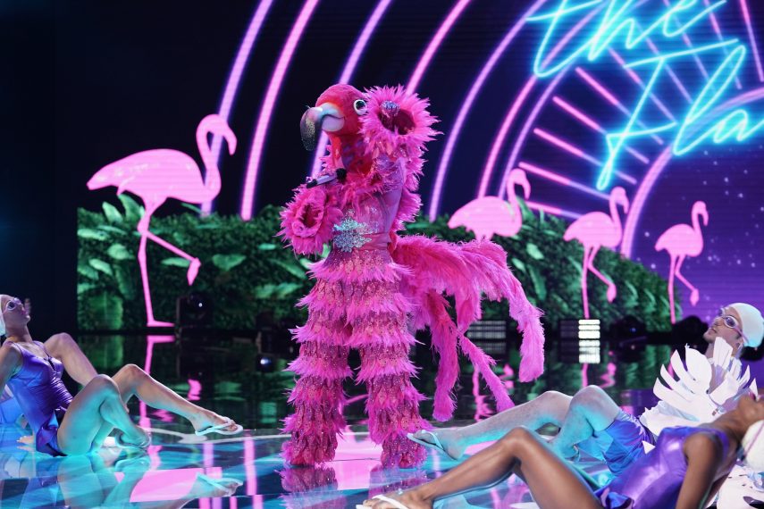 7 Reasons The Masked Singer S Flamingo Is Probably This Former
