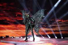 6 Reasons 'The Masked Singer's Butterfly Is Probably This Singer