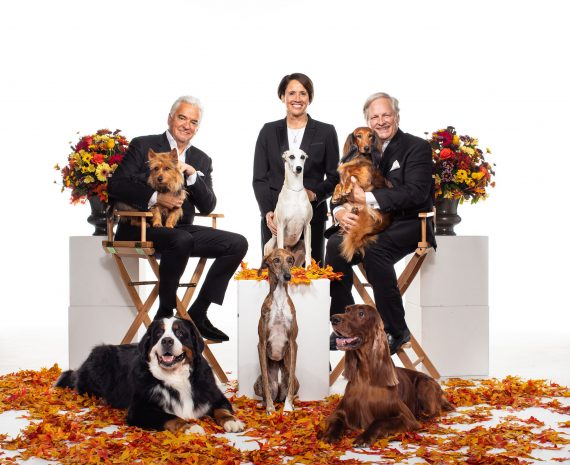 Meet the New Breed Competing in the 2019 National Dog Show PHOTOS