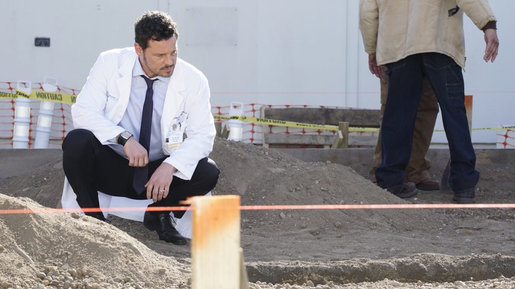 Grey's Anatomy, Alex Karev