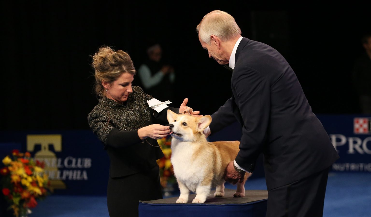How to Watch the 2019 National Dog Show on Thanksgiving Day