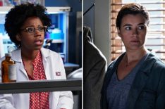 'NCIS' Star Diona Reasonover on Ziva's Return: 'It Is a Life or Death Situation'