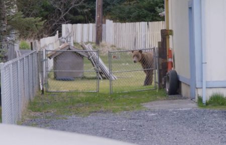 Alaska PD