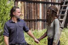 The Walking Dead - Andrew Lincoln as Rick Grimes, Danai Gurira as Michonne - The Walking Dead - Season 8, Episode 12