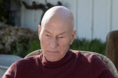 Star Trek: Picard - Patrick Stewart in contemplation with his dog and a glass of wine
