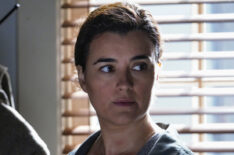 Cote de Pablo a Ziva David in NCIS - 'In the Wind'