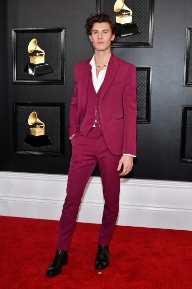 Shawn Mendes attends the 62nd Annual Grammy Awards