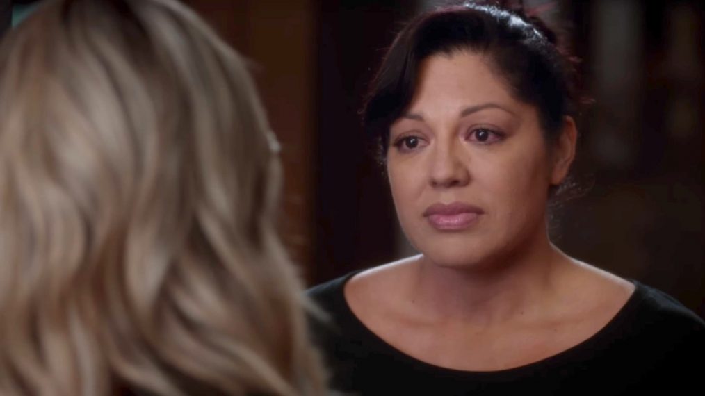 Grey's Anatomy Exits, Callie Torres