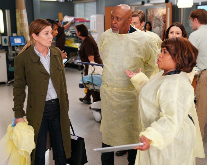 Grey's Anatomy Season 16 Episode 10, Meredith Grey, Richard Webber, Miranda Bailey
